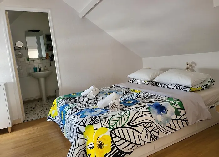 Appartement Style Loft En Centre Ville
